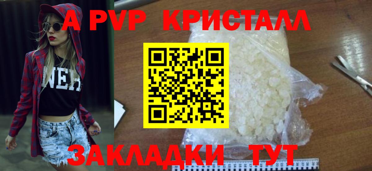 A-PVP СК Гатчина