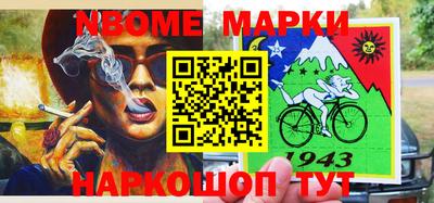 гидра Новозыбков