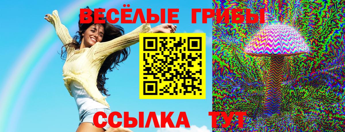 Псилоцибиновые грибы мухоморы  Псилоцибиновые грибы прущие грибы  Вход с VPN  купить наркотики цена  Гатчина 