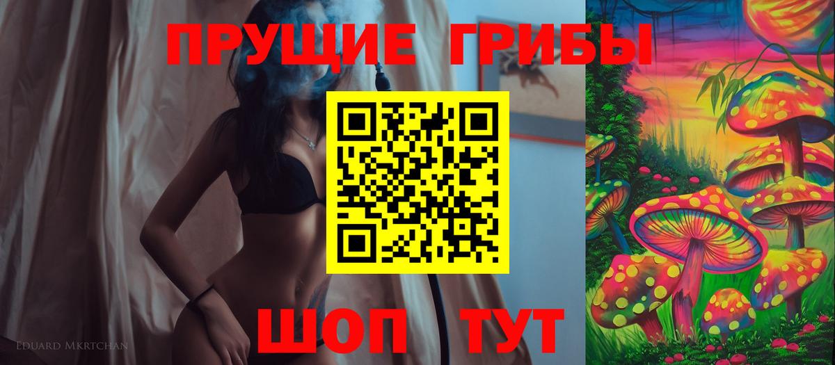 Псилоцибиновые грибы Cubensis Гатчина